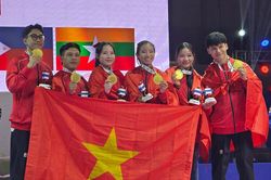 Thể thao An Giang đóng góp tại SEA Games 33