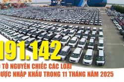 Infographics: 11 tháng năm 2025, nhập khẩu ô tô nguyên chiếc và linh kiện đạt 9,55 tỷ USD