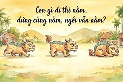 Con gì đi thì nằm, đứng cũng nằm, ngồi vẫn nằm?