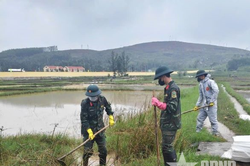 Khẩn trương khắc phục sự cố tràn dầu ở xã Vạn Tường, tỉnh Quảng Ngãi