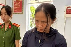 Dưới hình thức huy động tiền gửi, nữ giám đốc công ty nông sản đã chiếm đoạt hơn 166 tỉ đồng