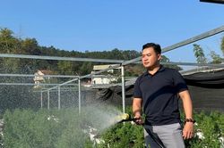 Không ngại khó, thanh niên nông thôn tự tin làm giàu từ cây trồng bản địa