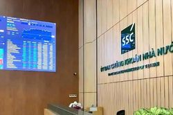Sai lệch, chậm công bố thông tin, Công ty Phát triển Bất động sản Cát Liên Hoa bị phạt nặng