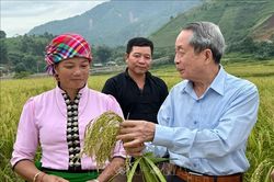 Viện sĩ của nhà nông