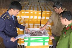 Liên tiếp phát hiện thực phẩm bẩn, không rõ nguồn gốc dịp cận Tết
