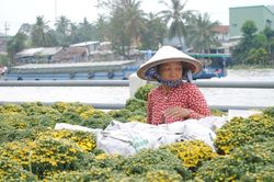 Nghề trồng hoa - kiểng Sa Đéc là Di sản văn hóa phi vật thể quốc gia