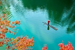Cao Bằng: Ngắm sắc đỏ mùa đông thơ mộng tại hồ Bản Viết