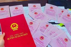 Nhờ đứng tên sổ đỏ, xảy ra tranh chấp, người bỏ tiền có đòi lại được đất?
