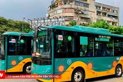 TP.HCM: Mở rộng đấu thầu xe buýt, tiết kiệm hơn 216 tỷ đồng ngân sách