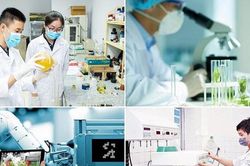 Đến năm 2030, lĩnh vực khoa học kỹ thuật đạt 1,1 bài báo quốc tế uy tín/tiến sĩ/năm