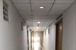 Cô gái 'trốn' hàng xóm: Thói quen kỳ lạ nhưng lý do được nhiều người cảm thông