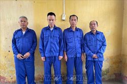 Khởi tố nhóm đối tượng trốn thuế, gây thất thoát gần 19 tỷ đồng