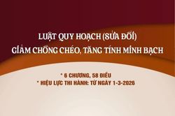 [Infographic] Luật Quy hoạch (sửa đổi) 2025: Giảm chồng chéo, tăng minh bạch