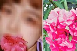 Bốn loại 'hoa xui xẻo' nhưng nhiều người bỏ tiền mua