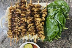 Sùng đất - món ngon ngày mưa của núi rừng Trà Liên