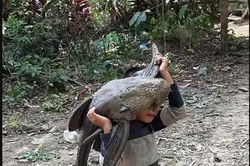 Bắt được 'quái vật' khổng lồ, bé trai gây sốc khi vác đi khắp làng