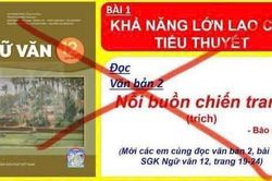 Văn hóa tranh luận trên mạng xã hội: 'Gạch chéo', công kích, xúc phạm thay cho lý lẽ