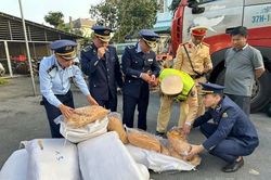 Hà Tĩnh: Phát hiện 300kg ruốc bông có mùi lạ trên đường đi tiêu thụ