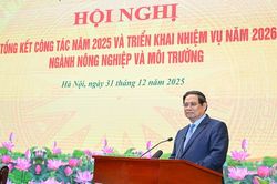 Thủ tướng giao ngành Nông nghiệp và Môi trường 8 nhiệm vụ trọng tâm