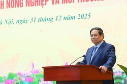 Thủ tướng chỉ đạo 6 nhóm nhiệm vụ trọng tâm đưa ngành Nông nghiệp và Môi trường phát triển bền vững