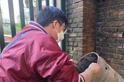 Đà Nẵng tăng cường công tác phòng, chống sốt xuất huyết Dengue