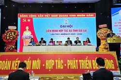 Đại hội đại biểu Liên minh HTX tỉnh Gia Lai: Khẳng định vai trò trụ cột trong phát triển nông nghiệp, nông thôn