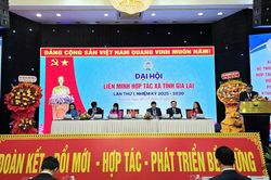 Đại hội đại biểu Liên minh HTX tỉnh Gia Lai: Khẳng định vai trò trụ cột trong phát triển nông nghiệp, nông thôn