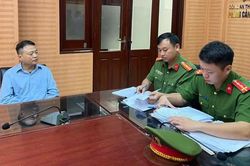 Khi 'cá mập' rớt khỏi bể kính
