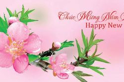Thư Chúc Mừng Năm Mới