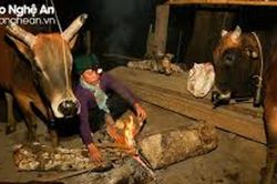 Thời tiết Nghệ An ngày 2/1: Mưa rào rải rác và có nơi có dông, sáng sớm trời rét đậm