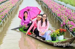 Khách du lịch đến Đồng Tháp tăng cao dịp Tết Dương lịch 2026