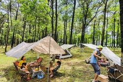 Camping 24h lên ngôi: Sóc Sơn, Ba Vì hút khách miền Bắc; Hồ Trị An, Cần Giờ sôi động miền Nam
