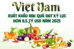 Xuất khẩu rau quả đạt kỷ lục 8,5 tỷ USD trong năm 2025