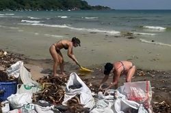 Phú Quốc: Bãi Khem và bãi Sao ngập rác và lục bình dịp đầu năm 2026