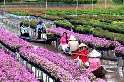 Hơn 738.000 lượt du khách đến với Festival hoa - kiểng Sa Đéc