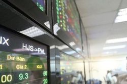 VN-Index chào năm mới tăng, thị trường xanh vỏ đỏ lòng