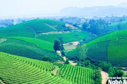 Nhiều bước chuyển quan trọng trong quản lý đất đai ở Nghệ An