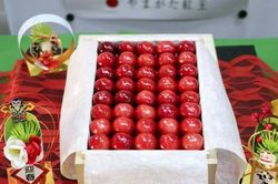 'Vua của các loài cherry Nhật Bản' gây sốt với mức giá kỷ lục