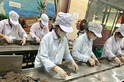 Kỳ vọng mới cho thành phố