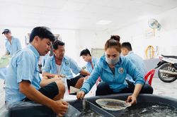 Thúc đẩy nghề tôm giống phát triển bền vững
