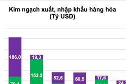 Việt Nam xuất siêu sang Hoa Kỳ 133,9 tỷ USD trong năm 2025