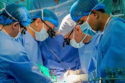 Hai sự sống hồi sinh cùng lúc từ một nguồn hiến tạng