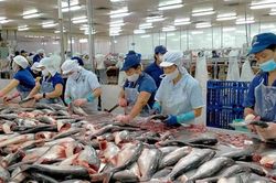 Chủ tịch Nam Việt (ANV) muốn thoái sạch vốn cá nhân: Cổ phiếu tăng 36%, lợi nhuận gấp 18 lần nhưng lãnh đạo vẫn tranh thủ 'chốt lời'?