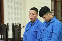 Buôn lậu gần 500 con dê từ Lào về Việt Nam, 2 bị cáo lĩnh án tù