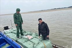 Thu giữ 1,2 tấn thịt vịt đông lạnh không rõ nguồn gốc
