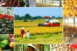 Sản xuất nông nghiệp năm 2025 tăng trưởng bứt phá, ấn tượng nông lâm thủy sản