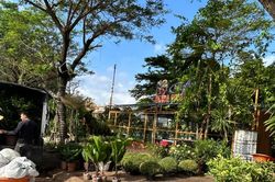 Thị trường hoa, cây cảnh sôi động