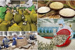 Hướng tới mục tiêu xuất khẩu nông, lâm, thủy sản năm 2026 là 73 - 74 tỷ USD