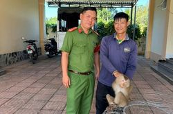 Nhiều động vật hoang dã nguy cấp, quý hiếm được thả về với tự nhiên