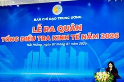 Tổng điều tra kinh tế 2026: Lần đầu số hóa mạnh, quét toàn cảnh nền kinh tế